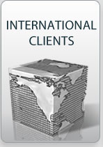 International Clients of Martinovsky Law Firm