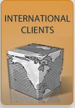 International Clients of Martinovsky Law Firm